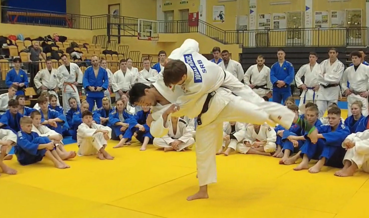 Uchimata or Hane-Goshi?